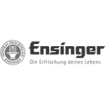 Ensinger GmbH Logo Ensinger GmbH